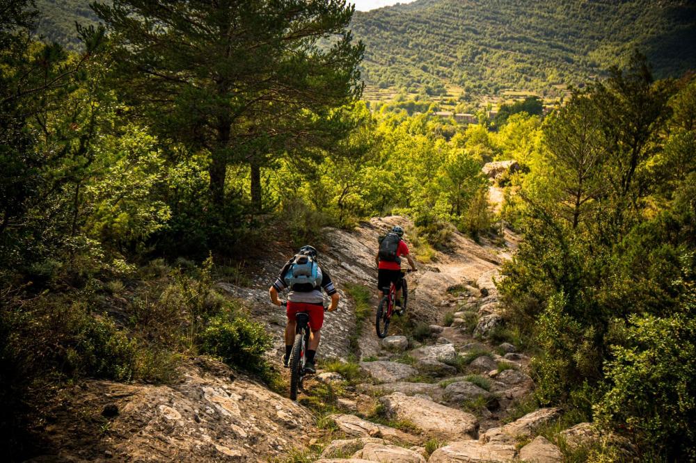 randonnées forêts