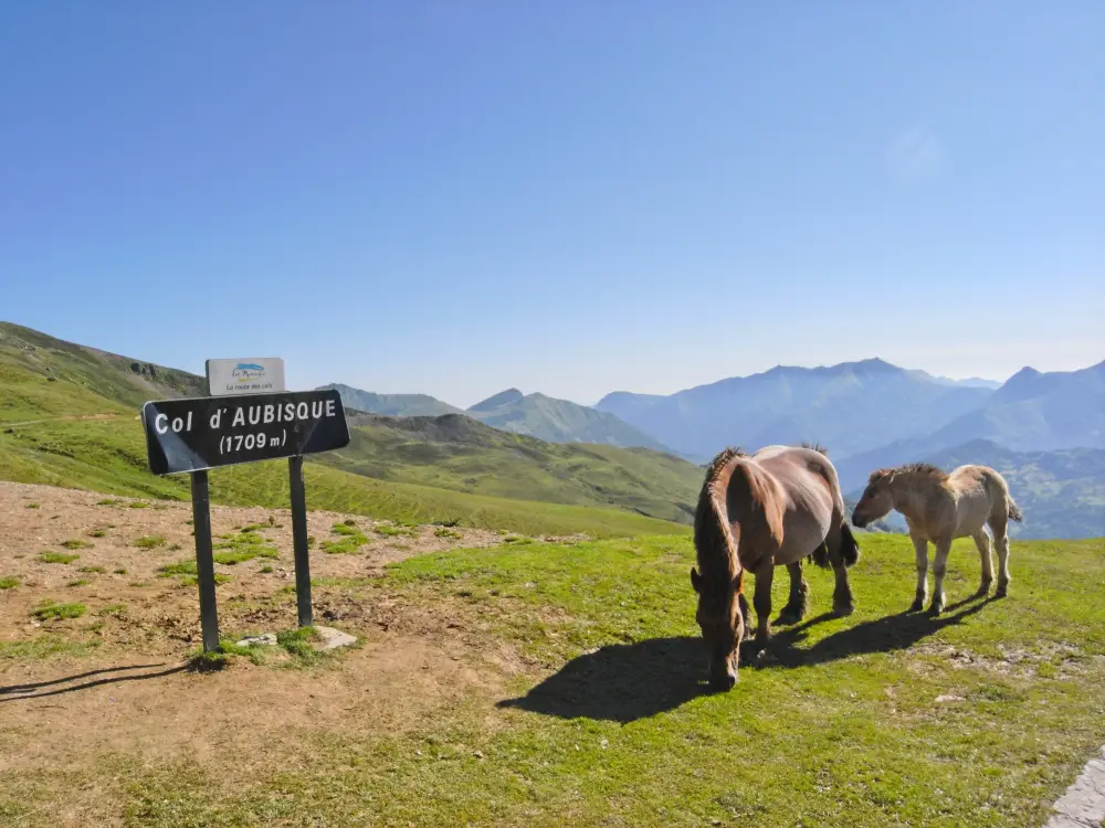 Col d'Aubisque