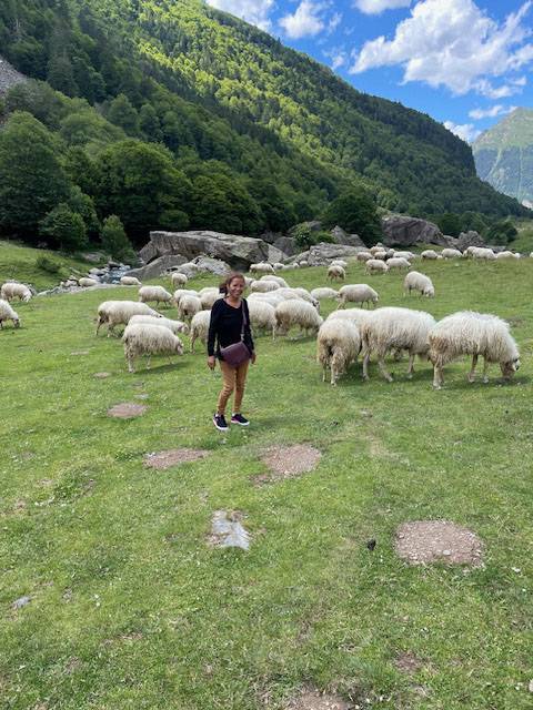 camping saran (3)